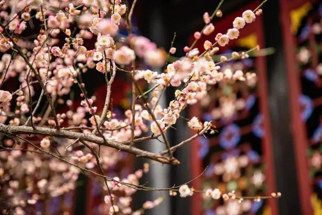 Spring
